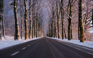 Картинка зима, дорога, пейзаж, небо, снег, лес, деревья, асфальт