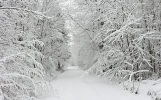 Картинка зима, дорога, лес, пейзаж, деревья, природа, сугробы, снег
