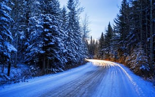 Картинка зима, дорога, снег, пейзаж, облака, лес, небо, деревья