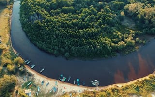 Картинка лес, деревья, берег, пейзаж, природа, пристань, река, растения