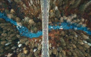 Картинка лес, деревья, река, растения, вид сверху, природа, мост, пейзаж