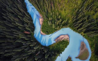 Картинка лес, деревья, пейзаж, природа, река, растения, вид сверху, рельеф