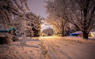 Картинка снег, вечер, деревья, автомобиль, новый год, зима, природа, красиво, машина