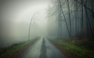 Картинка дорога, лес, пейзаж, трава, мрак, деревья, туман, природа