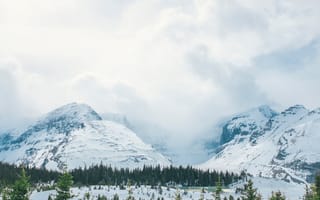 Картинка зима, лес, небо, снег, деревья, пейзаж, облака, горы