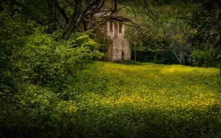 Картинка заброшенный дом, Грузия, Надежда Демкина, монастыь Зедазени