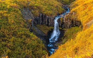 Картинка Природа, Осень, Водопад Скафтафелл, Waterfall Skaftafell, национальный парк Ватнайокудль, Vatnajokull National Park, Исландия, Iceland