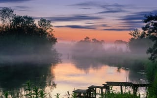 Картинка лес, небо, облака, пейзаж, трава, деревья, закат, природа