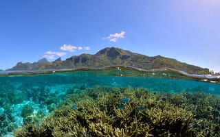 Картинка Полинезия, Кораллы, Moorea, Polynesia, Муреа, лагуна, lagoon, Красота