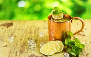 Картинка moscow, spearmint, soda, slices, rum, recipe, mug, mule