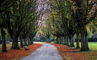Картинка park, oxford, autumn, cowley