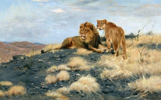 Картинка Трава, Картина, Вильгельм Кунерт, Холм, Львы, Friedrich Wilhelm Kuhnert, Двое, Фридрих Вильгельм Кунерт