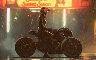 Картинка bike, catwoman, confident