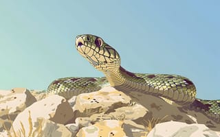 Картинка Змея, Камень, Арт, ИИ-арт, Цифровое искусство, Морда, Рептилия, Животное