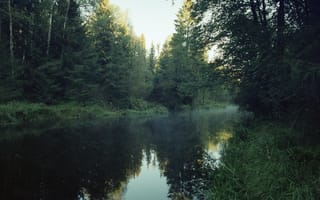 Картинка пейзаж, природ, Линдуловская роща, Матвей Кармаков