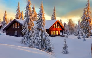 Обои снег, зима, небо, природа, лес, пейзаж, деревья, дом