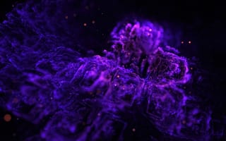 Картинка lights, dark, bokeh, purple