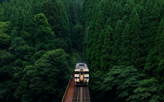 Картинка green, Japan, railway, train, abandoned, forest