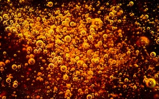 Картинка abstract, bar, brewery, beer, alcohol, bright, beverage