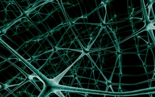 Картинка сеть, связь, нейроны