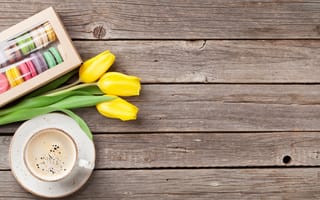 Картинка цветы, colorful, coffee cup, flowers, tulips, wood, тюльпаны, macarons