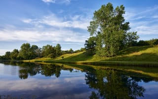 Картинка лето, деревья, отражение, река
