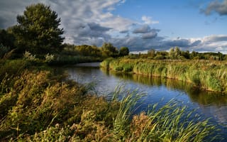 Картинка облака, деревья, речка