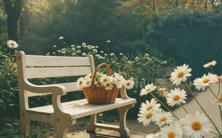 Картинка лето, цветы, ретро, sunshine, ромашки, весна, summer, blossom