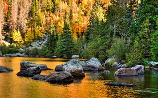 Картинка forest, landscape, foliage, fall, park, nature, water, tree