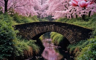 Картинка деревья, мост, trees, pink, цветение, весна, сакура, парк