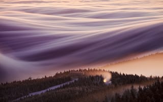 Картинка forest, trees, long exposure, landscape, mist, nature, environment, clouds