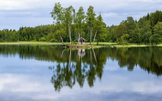 Картинка лес, деревья, речка
