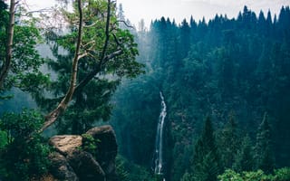 Картинка красота, обрыв, деревья, Sandra Seitamaa, водопад, камни, лес