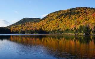 Картинка осень, лес, горы, река