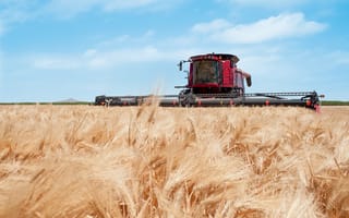 Картинка field, wheat field, case ih, agricultural machinery, case