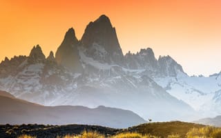 Картинка clear sky, landscape, snow, nature, Argentina, mountains, animal, Patagonia