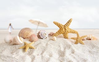 Обои пляж, песок, ракушки, раковины, морская звезда