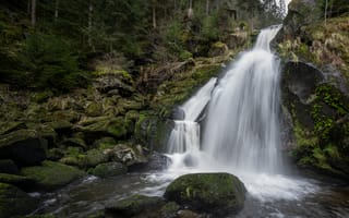 Картинка лес, камни, водопад, речка, мох