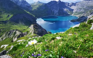 Картинка небо, трава, горы, цветы, скалы, солнце, ромашки, озеро