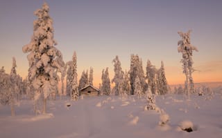 Картинка ели, деревья, домик, зима, снег