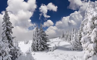 Картинка снег, деревья, небо, горы, природа, зима, лес, пейзаж, облака