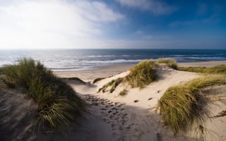 Картинка песок, море, пляж, трава, пейзаж
