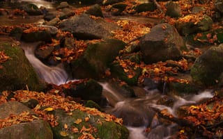 Картинка осень, листья, камни, ручей