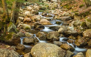 Картинка ручей, камни, мох