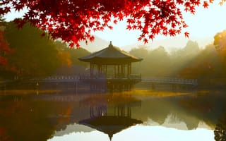 Картинка trees, landscape, water, leaves, nature, morning, reflection, bridge