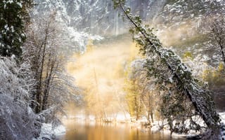 Обои свет, природа, лес, зима, туман, деревья, река