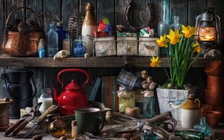 Картинка книги, букет, чайник, керосиновая лампа, подкова, кружка, нарциссы, бутылки