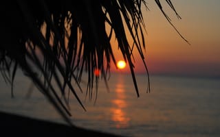 Картинка море, солнце, рассвет, восход, пальмы, Санторини