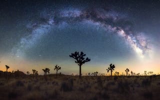 Картинка звезды, ночь, United States, Milky Way, California, Млечный Путь, Соединенные Штаты Америки, Калифорния