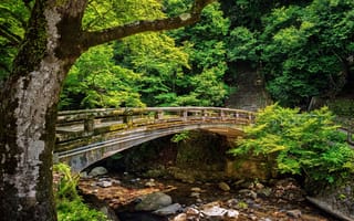 Картинка зелень, деревья, Minoh Bridge, Japan, камни, Япония, River, река